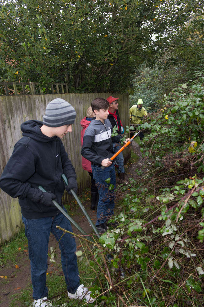 Plans for Downswood Diggers to clear SSSi, care to join us?